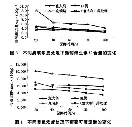 不同葡萄品种臭氧保鲜试验过程